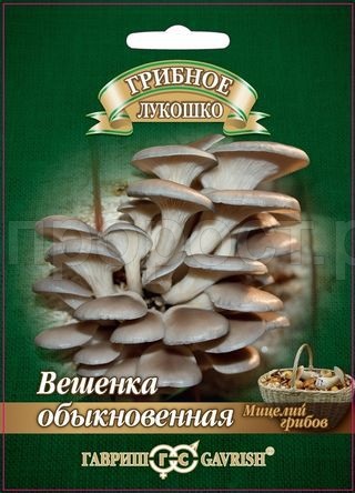 Мицелий гриба Вешенка Обыкновенная на древесной палочке 12шт Мицелий гриба Вешенка Обыкновенная на древесной палочке 12шт