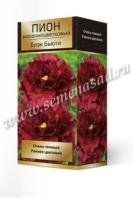 Пион молочноцветковый Блэк Бьюти