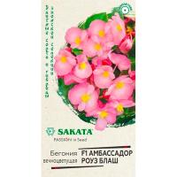 Гавриш Комн. Бегония вечноцветущая Амбассадор Роуз F1 4шт 