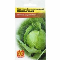 Капуста белокочанная Июньская 1г Капуста белокочанная Июньская 1г