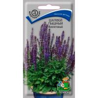 Поиск Шалфей (дубравный) пышный Фиолетовый 0,1г