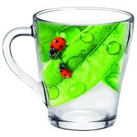 Кружка Живая природа Зеленый лист 250мл /1649-Д /20шт/ДК