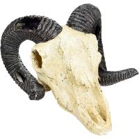 Грот LUCKY REPTILE Череп Skull Ram 19.5х17х12см (Германия) DS-R