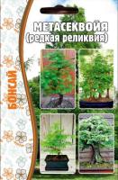 Редкие растения Метасеквойя 10 шт 