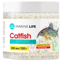 Рыбы ведро Catftsh 250мл /120гр