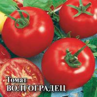 Томат Волгоградец 5 гр