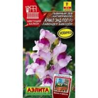 Аэлита Львиный зев Кракл энд поп F1 лавендер биколор 7шт 