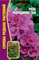 Редкие растения Роза морщинистая 10 шт 