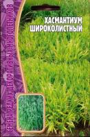 Редкие растения Хасмантиум Широколистный 25 шт 