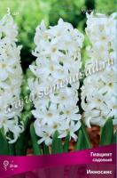 Гиацинт Садовый Инносанс (14/15) 3шт.