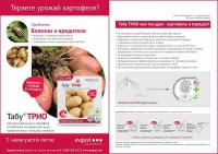 Табу ТРИО (4мл+10мл+5мл)