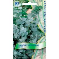 Поиск Комн. Эвкалипт серебряный Бинго 5 шт 