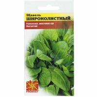 Щавель Широколистный 0,5г