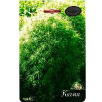 Каприс Кохия Королевский замок 20*1