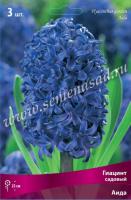 Гиацинт Садовый Аида (14/15) 3шт,