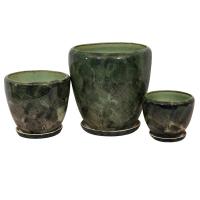 Лето из 3-х зеленый