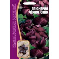 Редкие растения Плюмерия Черное окно 3 шт