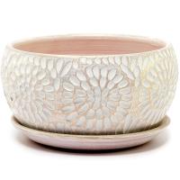 Астра  плошка 1 27-123/575695