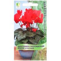Поиск Комн. Цикламен персидский мини Красный 2шт