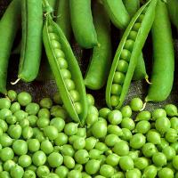 Горох Альфа 500г