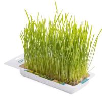 Лакомство для кошек Травка д/кошек пшеница лоток 40гр