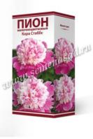 Пион молочноцветковый Кора Стаббс