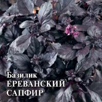 Базилик Ереванский сапфир 50,0 г