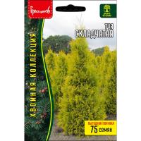 Редкие растения Туя Складчатая 0,1 г 