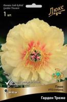 Пион ИТО-гибрид Гарден Треже 1шт (1-2)
