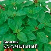 Гавриш Фермерская Базилик Карамельный 50 гр