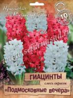 Гиацинты "Подмосковные вечера" смесь окрасок