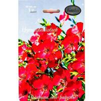 Каприс Лен Красный Пламя 20*0,5