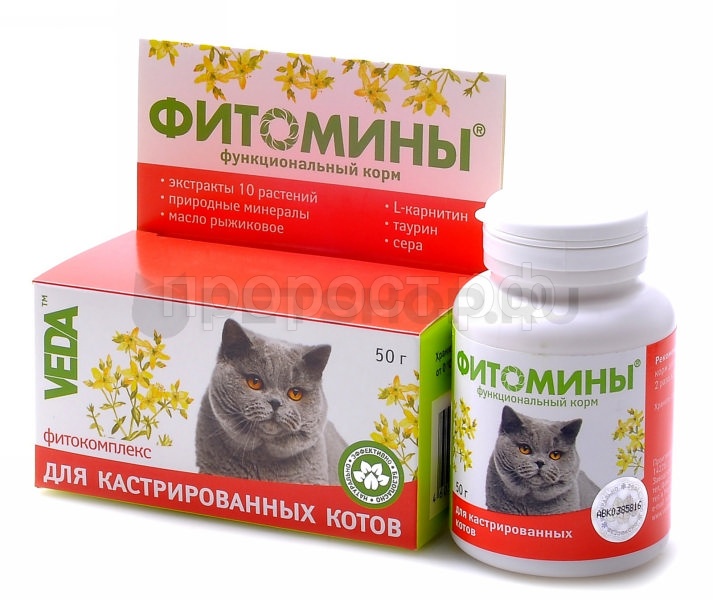 Витамины для костей кошкам