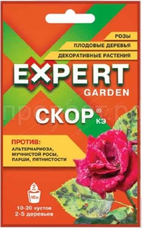 скор.jpg скор.jpg