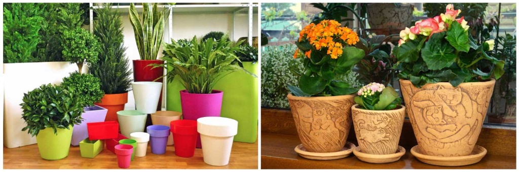 пластиковые-горшки.jpg пластиковые-горшки.jpg