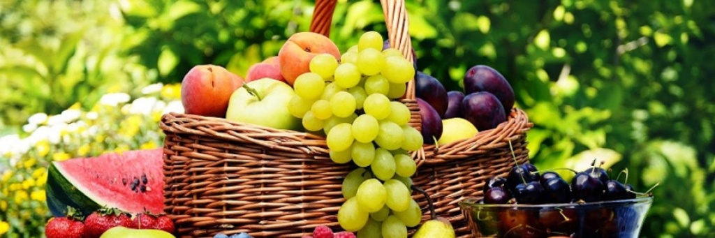 1500x500.jpg 1500x500.jpg