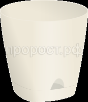 амстердам слив