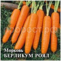 Морковь Берликум Роял 25 г