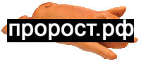 18 18