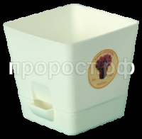 f50e59ae0d59bc6067d6aa6acfc6f574