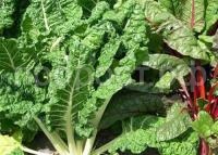 НоменклатураПрисоединенныеФайлы НоменклатураПрисоединенныеФайлы