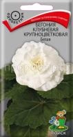 Бегония клубневая крупноцветковая Белая Бегония клубневая крупноцветковая Белая