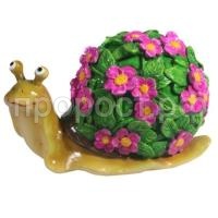 улитка роз улитка роз