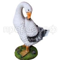 Гусь чистит перья