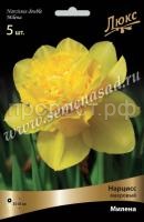 Нарцисс Милена Нарцисс Милена