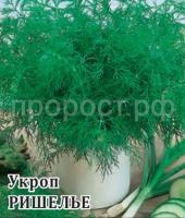 НоменклатураПрисоединенныеФайлы НоменклатураПрисоединенныеФайлы