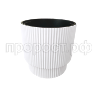 Жасмин 17белый