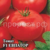 Рисунок8 Рисунок8