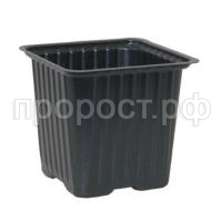 xgi5q2ddkvd967d64vg5ealipp6qhrsi