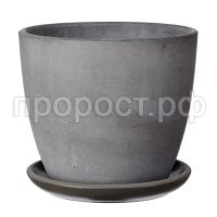 Грэй серый бутон Грэй серый бутон